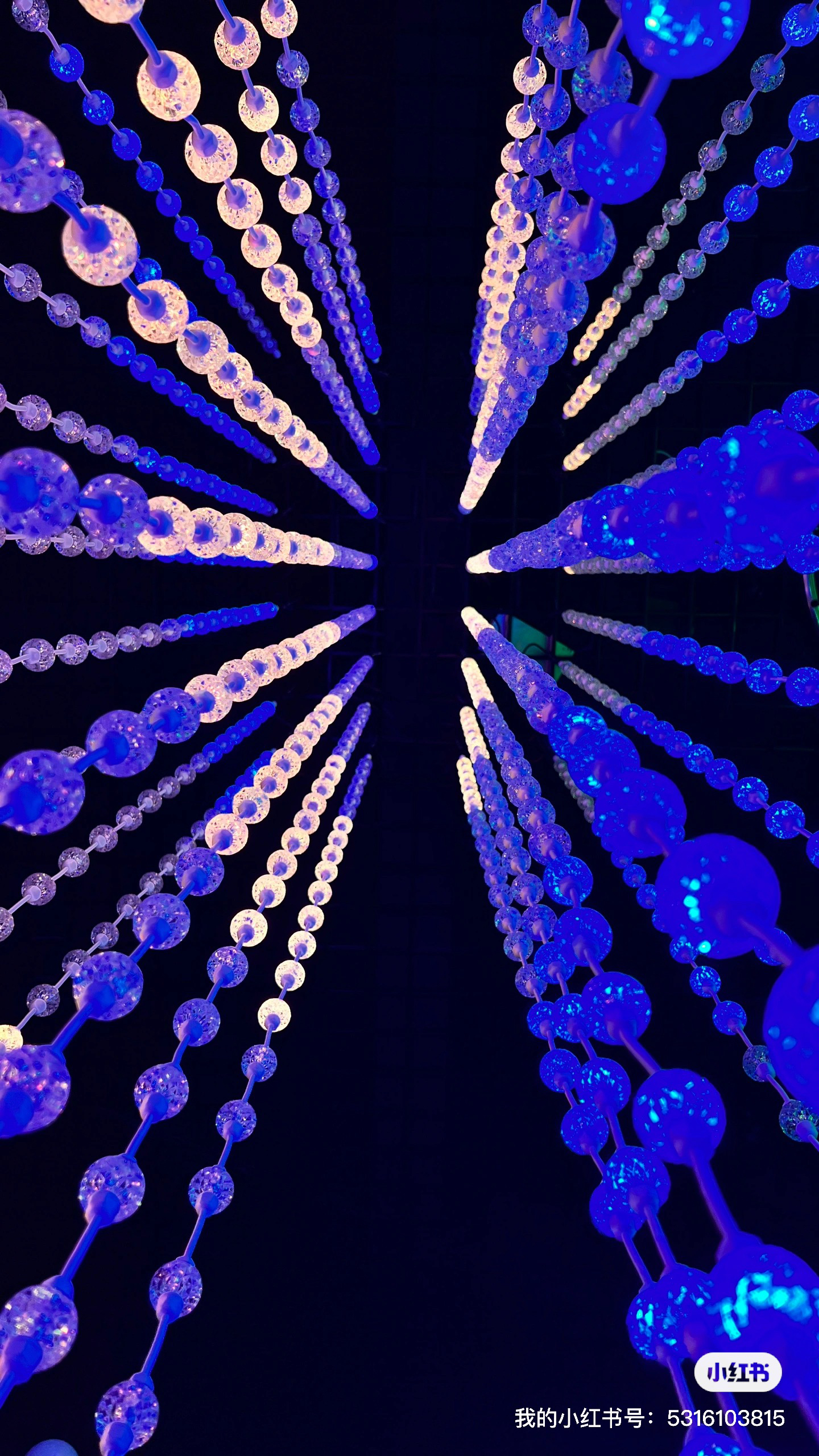 Go camping together，