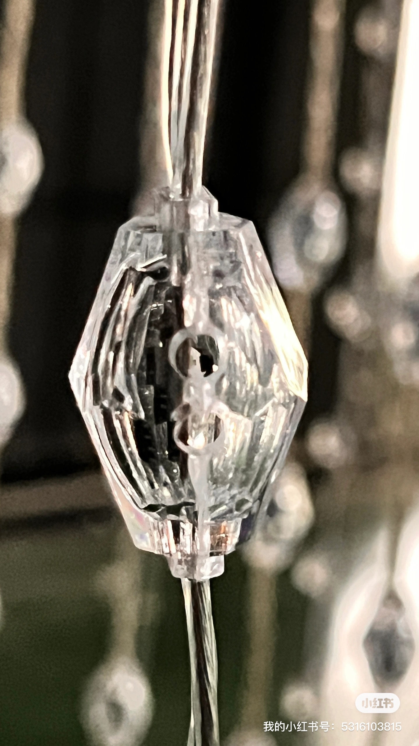 Go camping together，