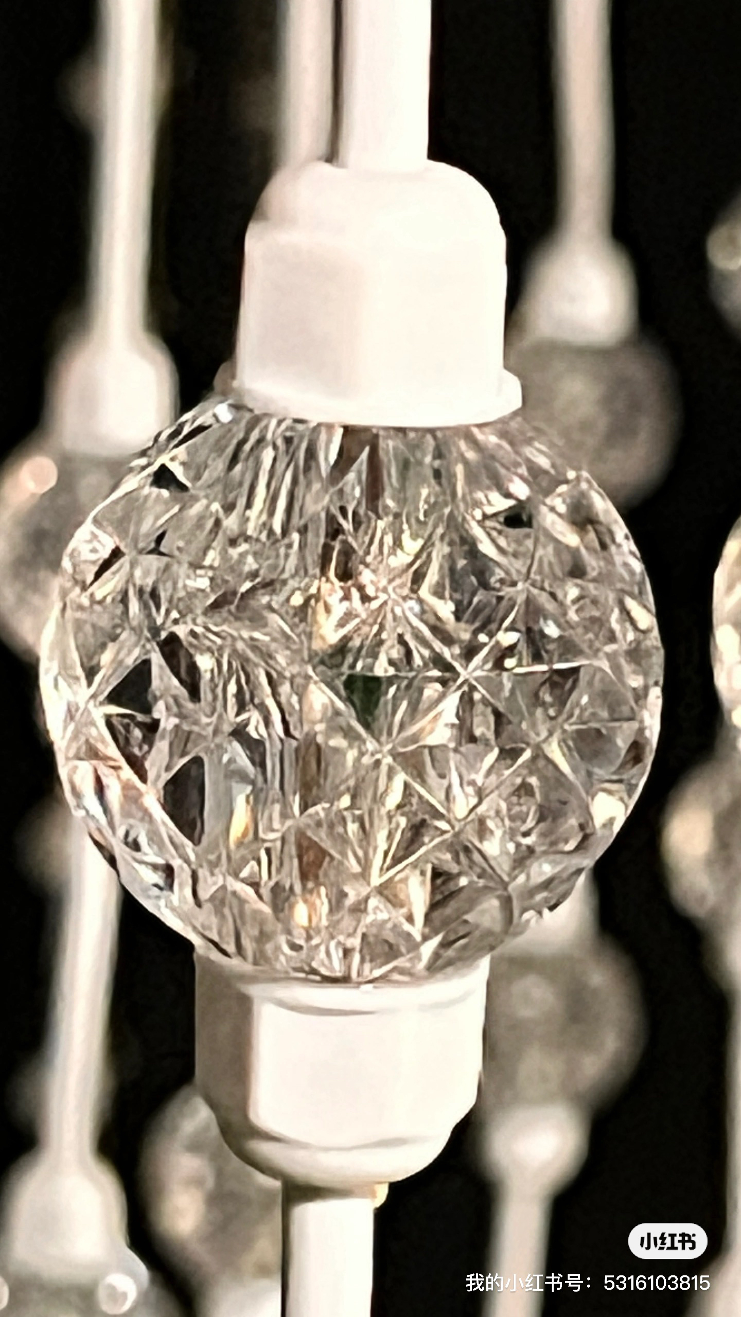 Go camping together，