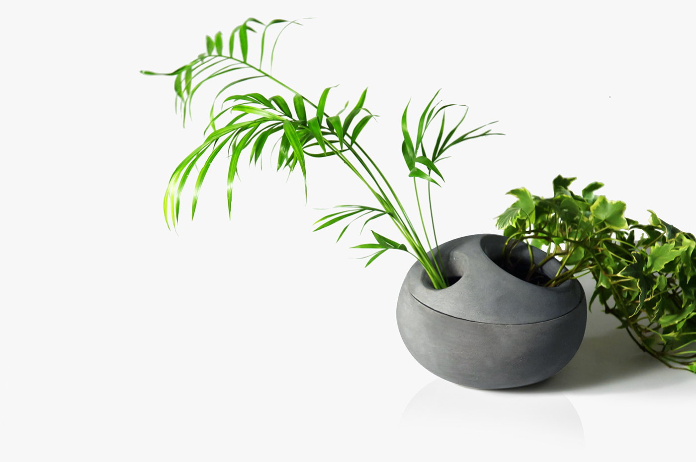 vase，Watering flowers，Shower，rock，reverent，cobblestone，Dinner plate，tableware，Plants and flowers，Grass flower，