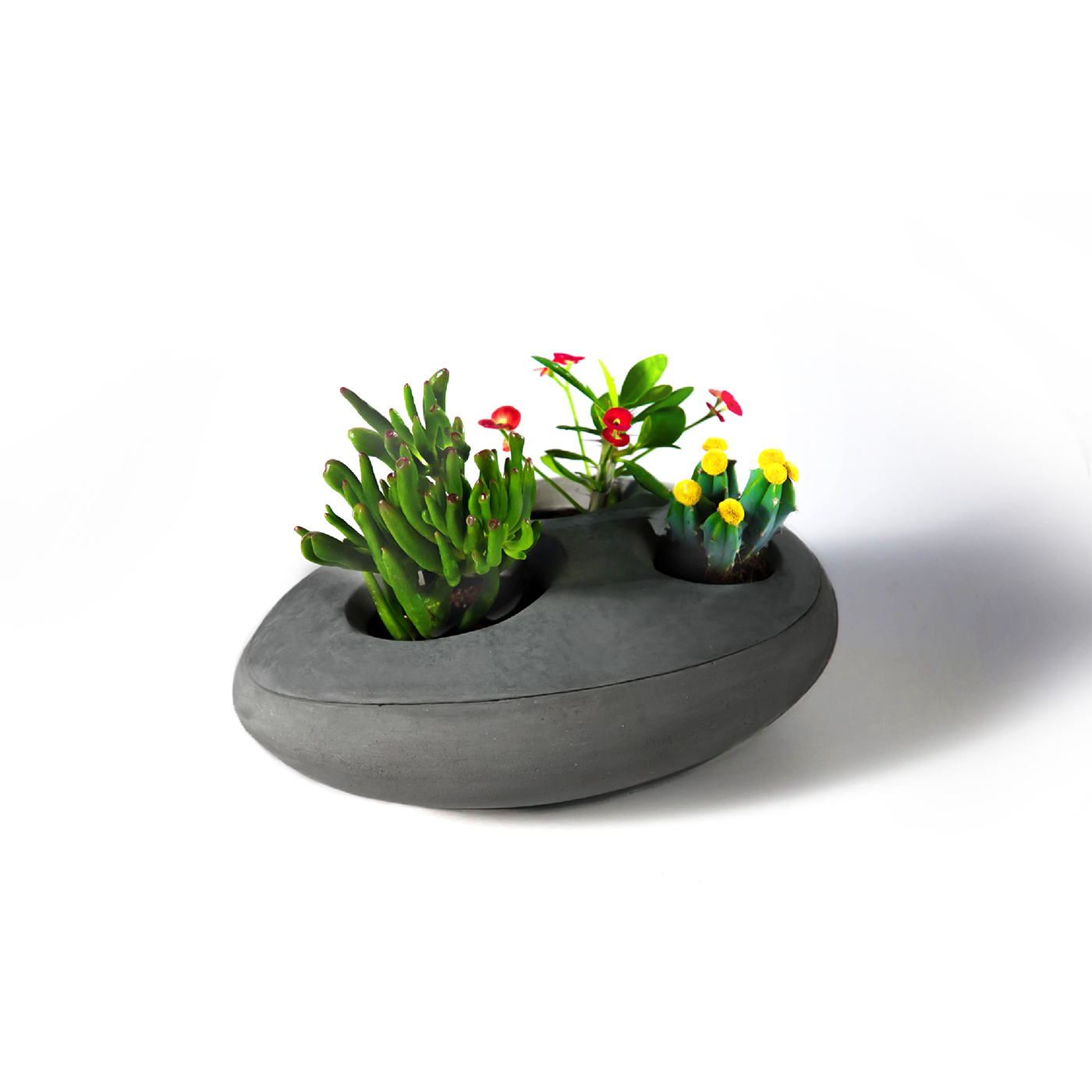 vase，Watering flowers，Shower，rock，reverent，cobblestone，Dinner plate，tableware，Plants and flowers，Grass flower，