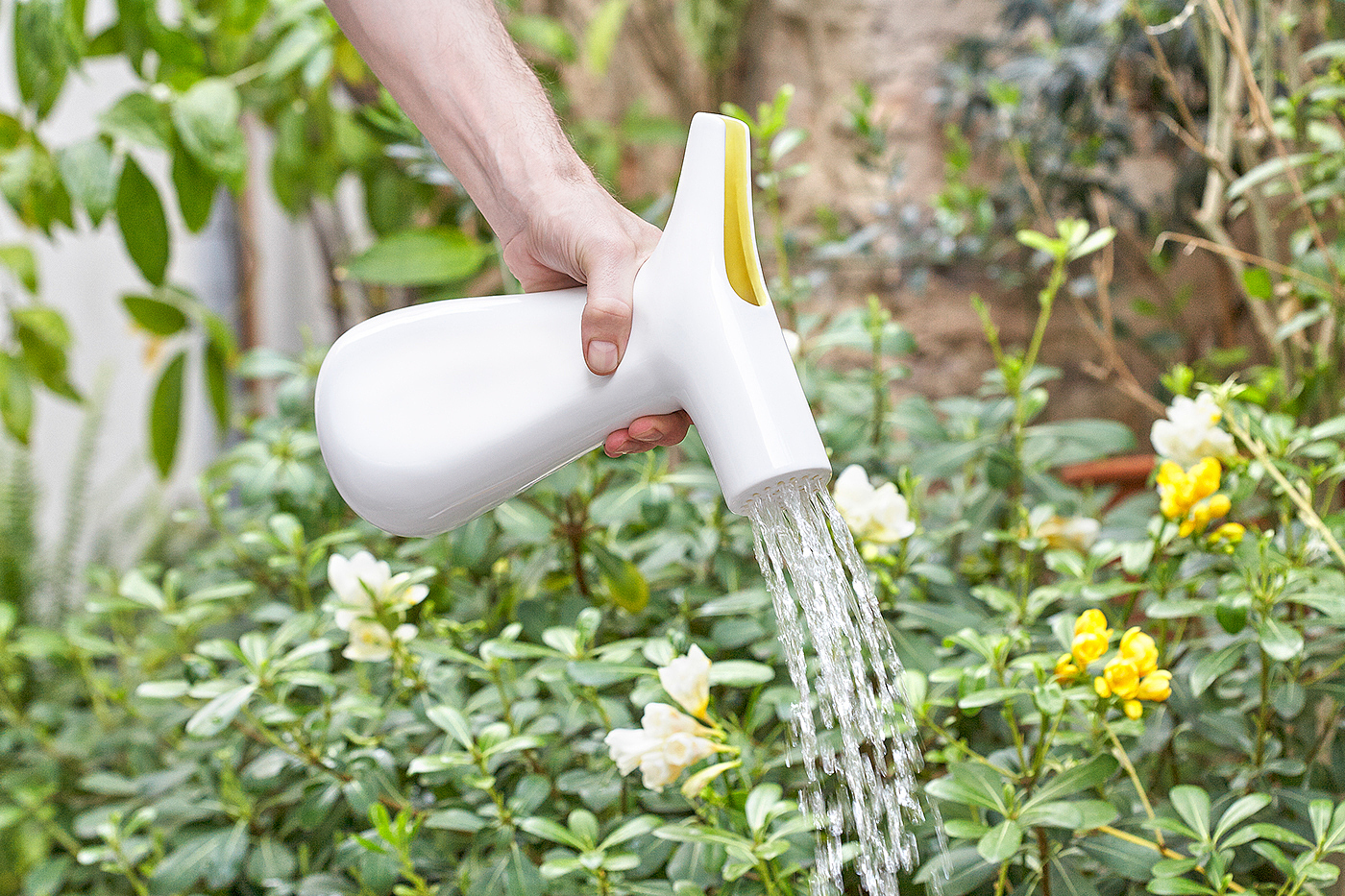 vase，Watering flowers，Shower，rock，reverent，cobblestone，Dinner plate，tableware，Plants and flowers，Grass flower，