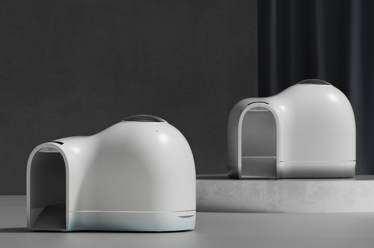 kennel，summer，Pets，