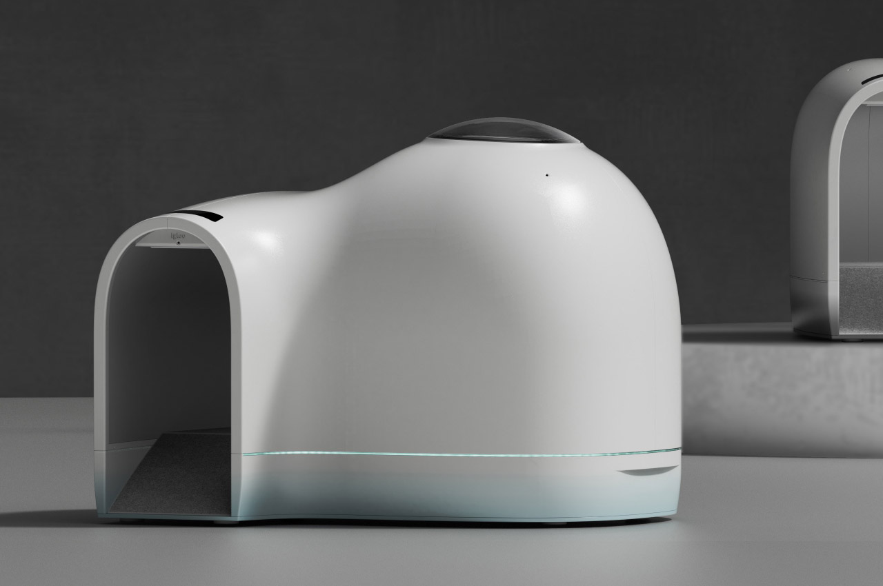 kennel，summer，Pets，