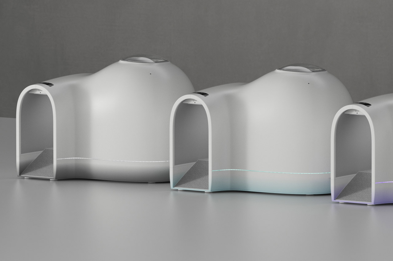 kennel，summer，Pets，