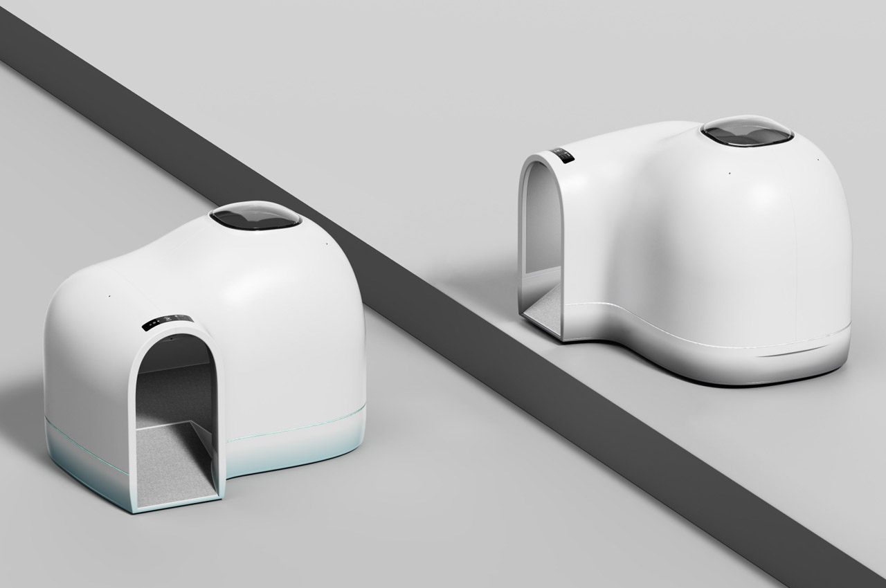 kennel，summer，Pets，