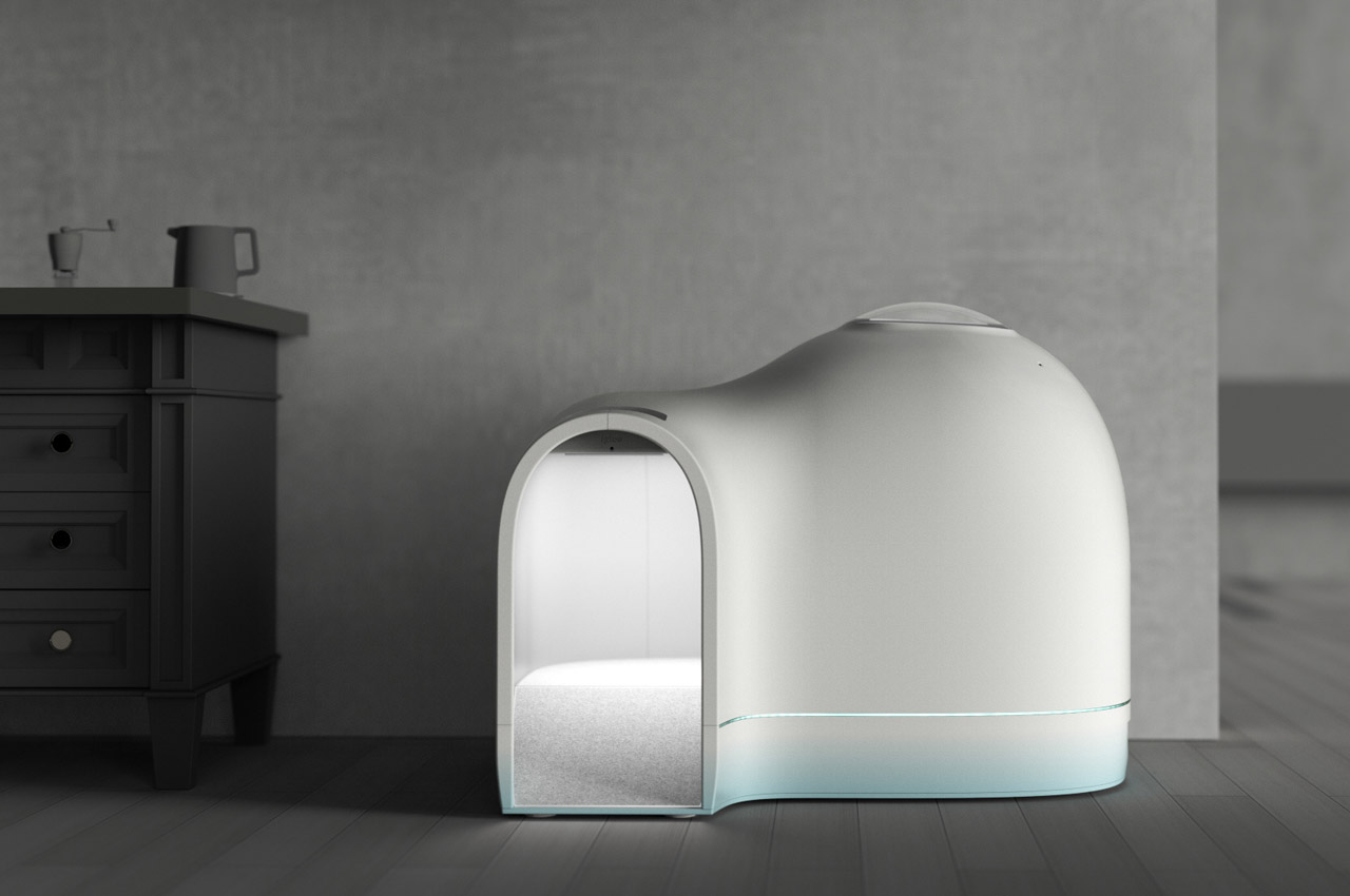 kennel，summer，Pets，