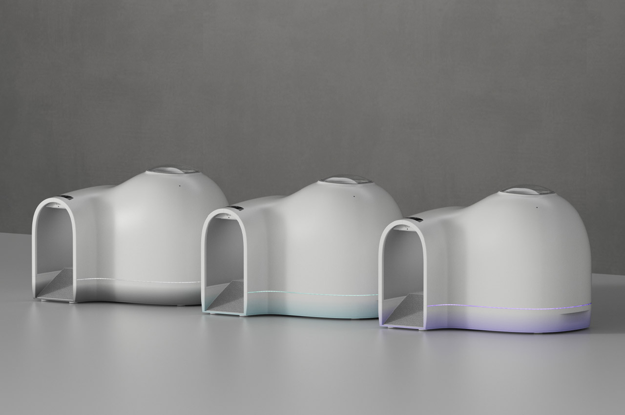 kennel，summer，Pets，