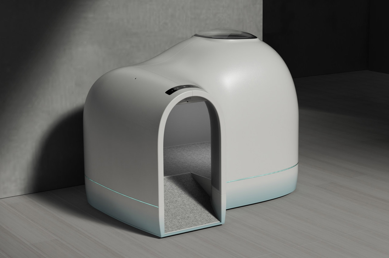 kennel，summer，Pets，