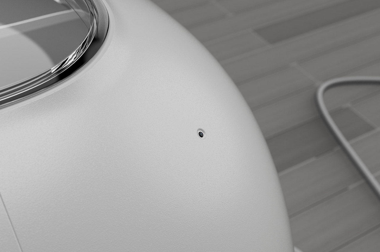 kennel，summer，Pets，