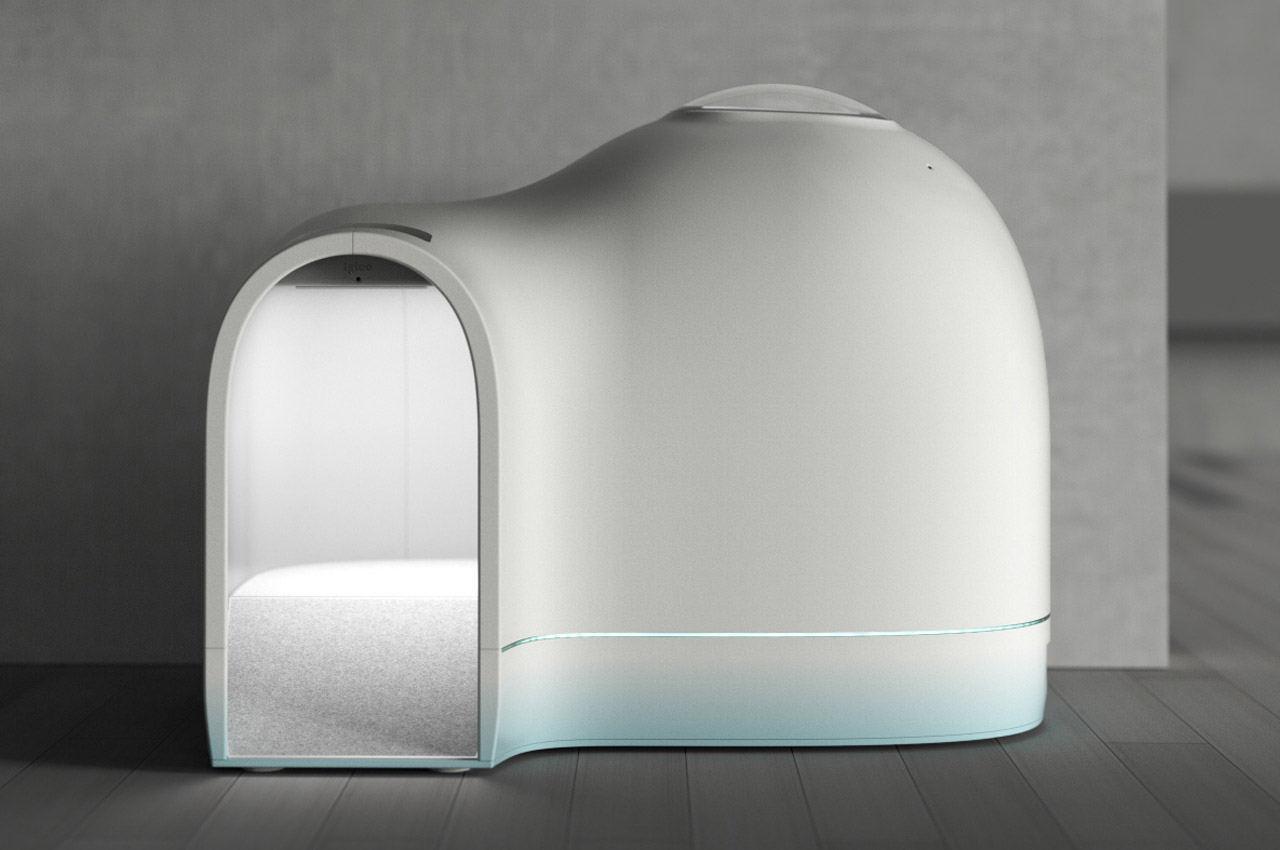 kennel，summer，Pets，