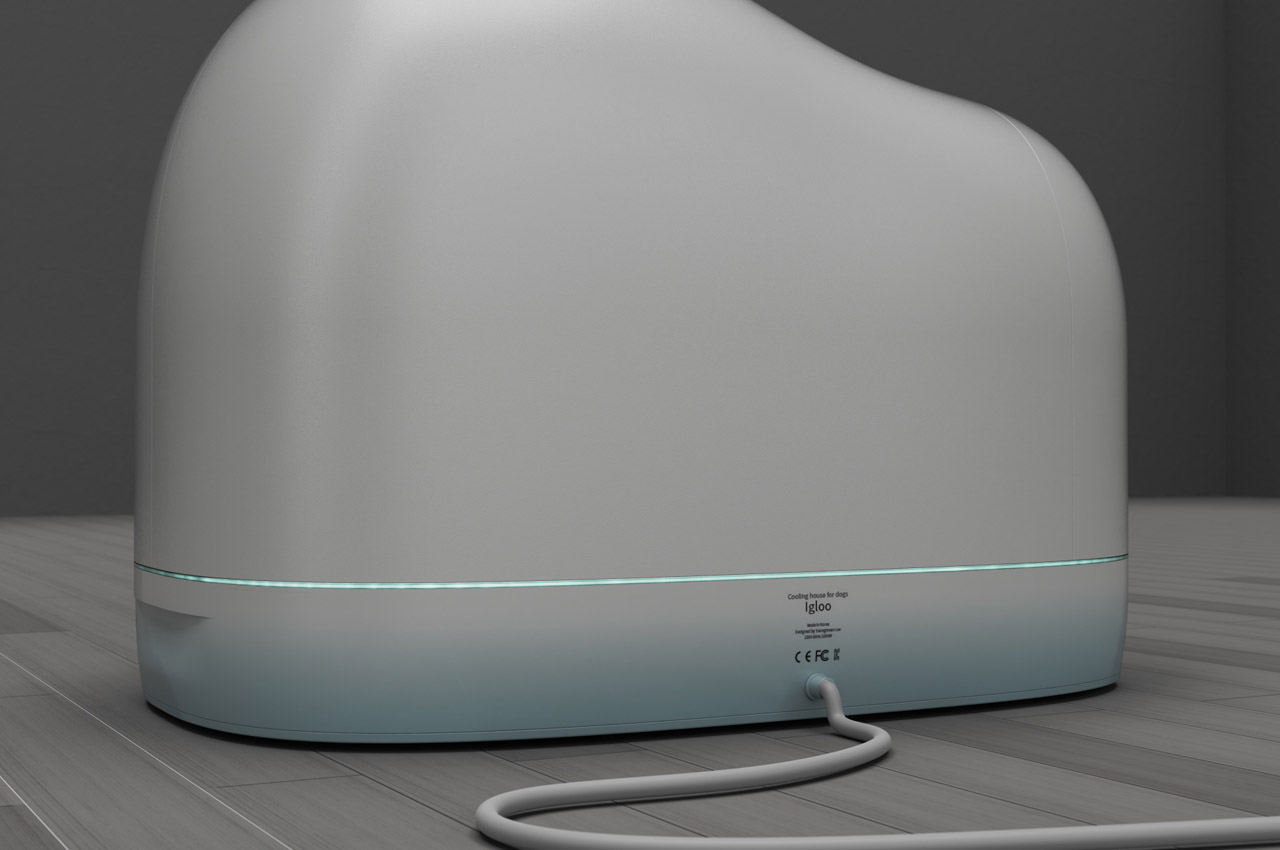 kennel，summer，Pets，