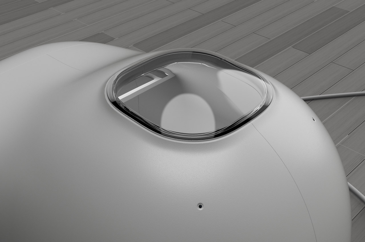 kennel，summer，Pets，