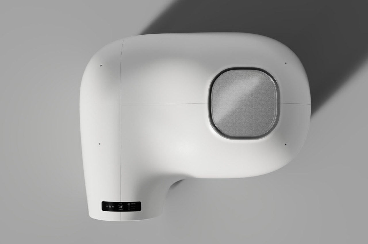 kennel，summer，Pets，