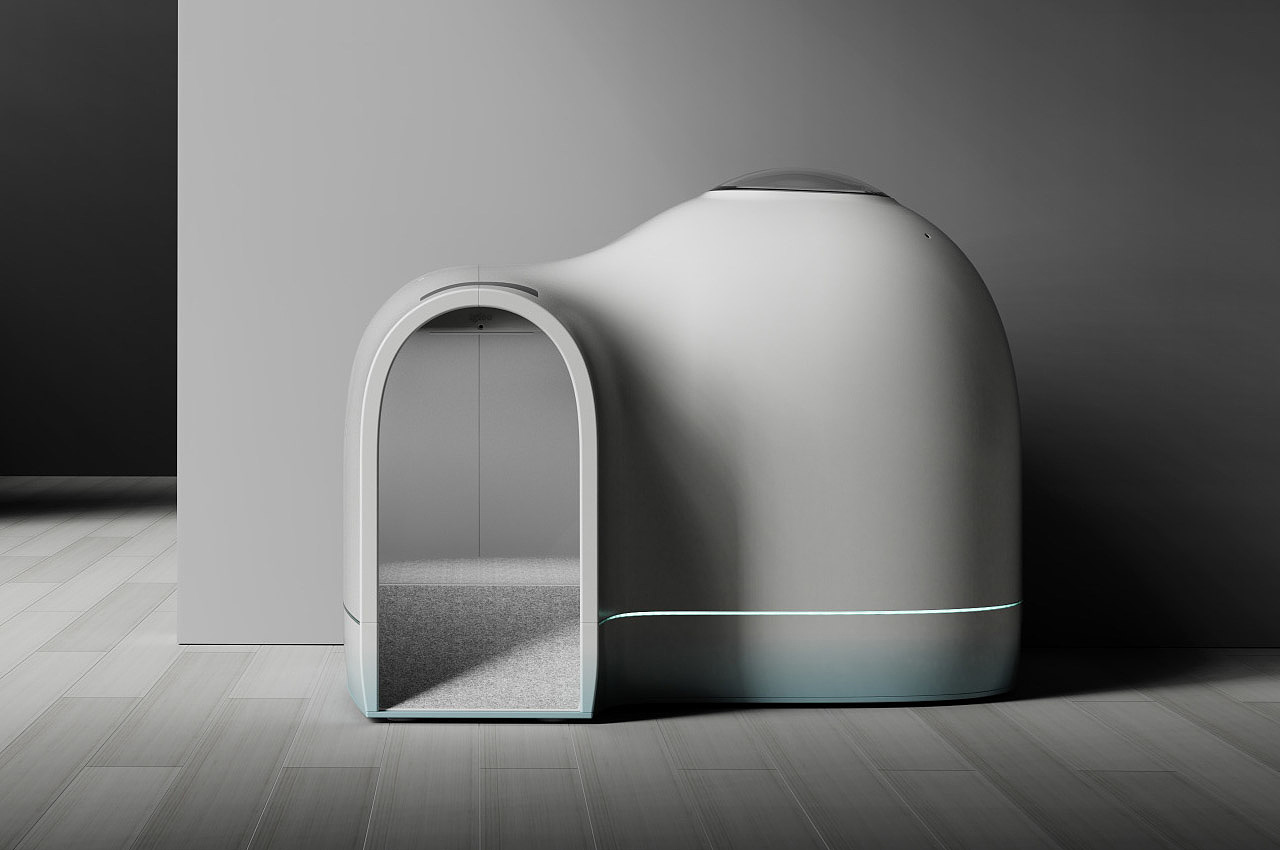 kennel，summer，Pets，