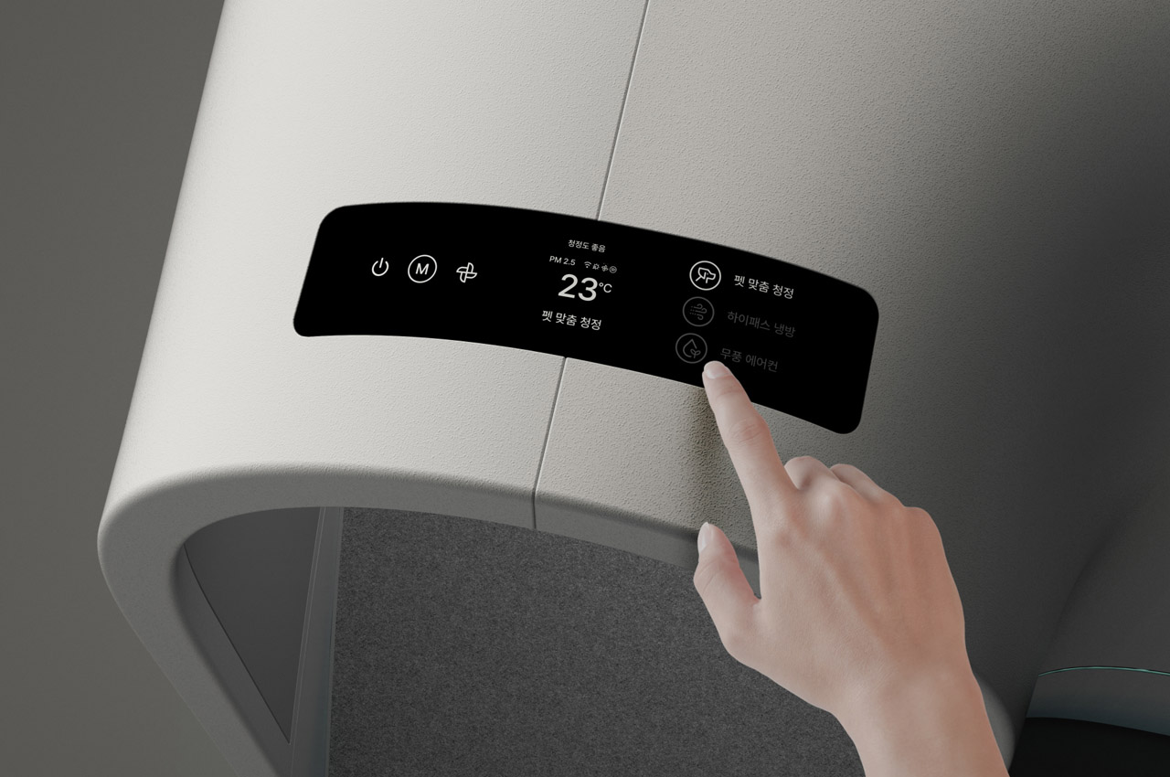 kennel，summer，Pets，