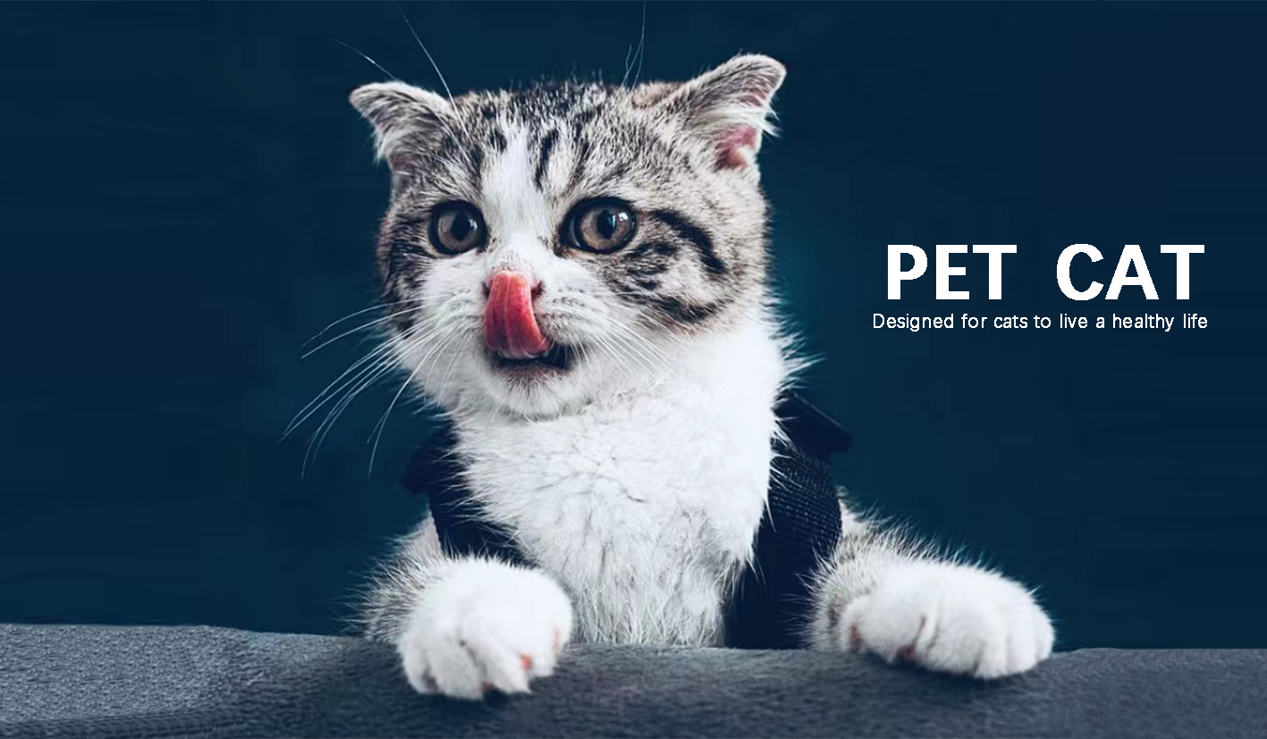 Pet Cat Product Design，