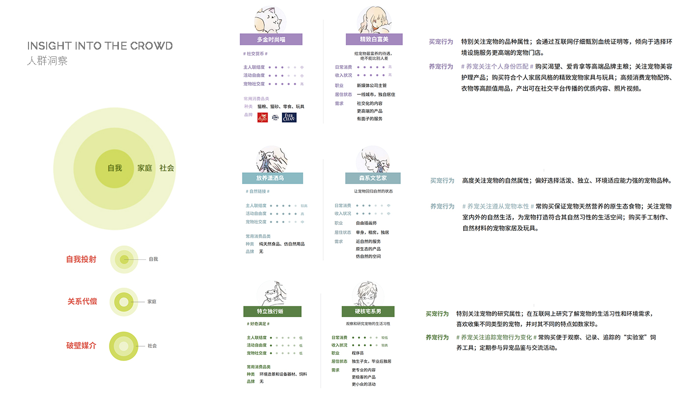 Pet Cat Product Design，