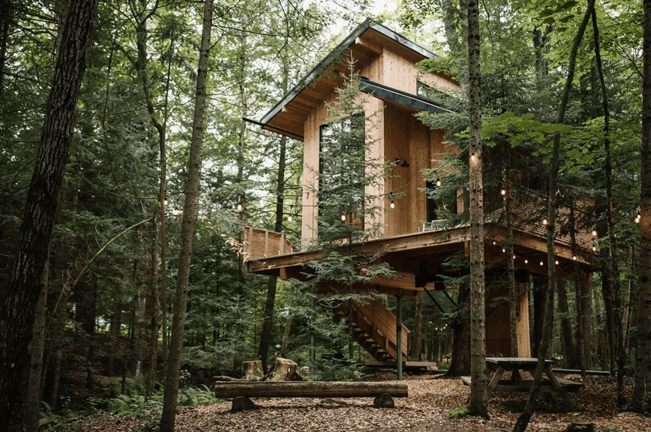 Baltic，Tree House，Architecture，originality，