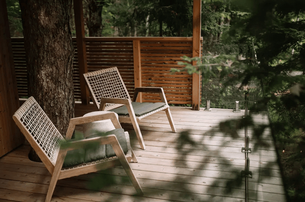 Baltic，Tree House，Architecture，originality，