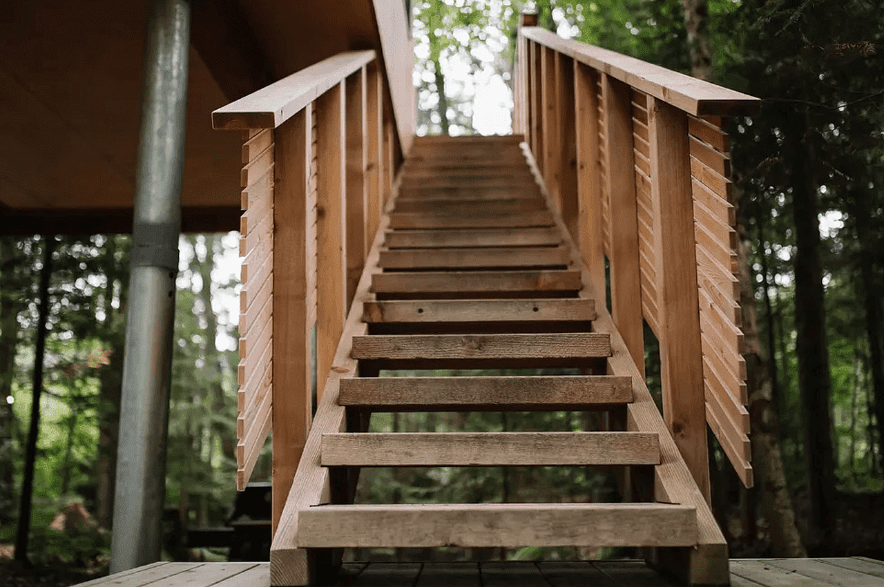 Baltic，Tree House，Architecture，originality，