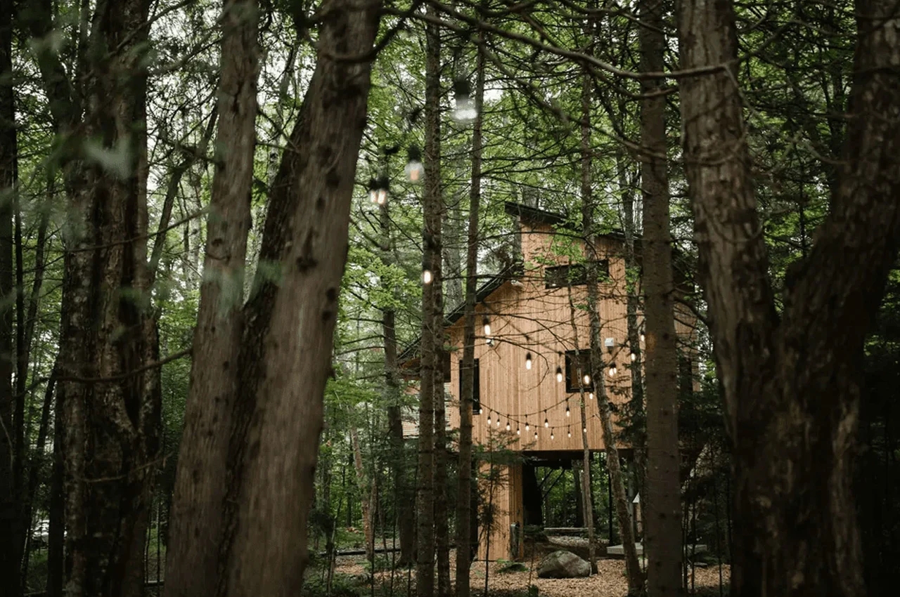 Baltic，Tree House，Architecture，originality，