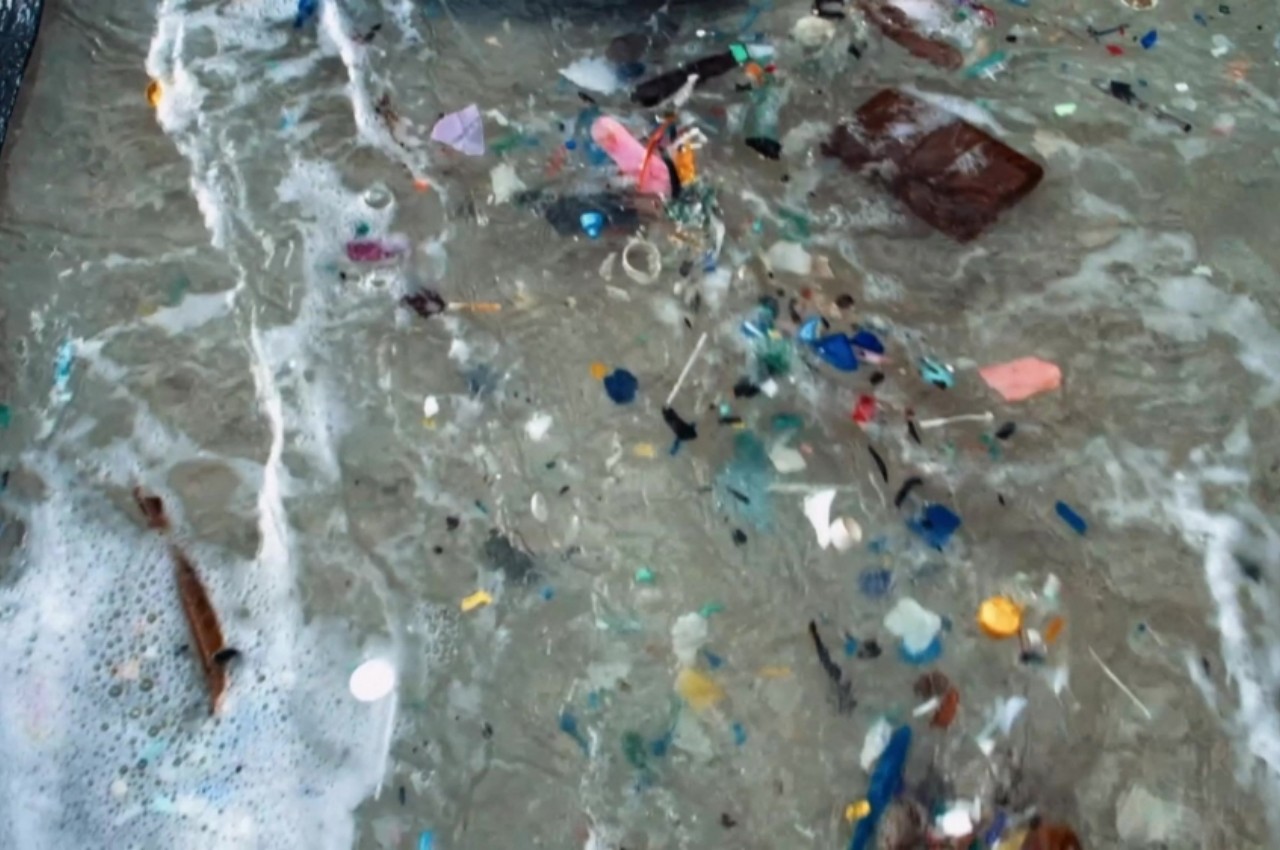 Micro plastic，Excretion，filter，