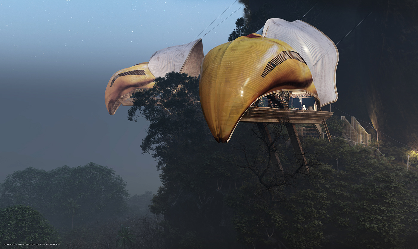 Water Bar，outdoors，Hawkbeak，