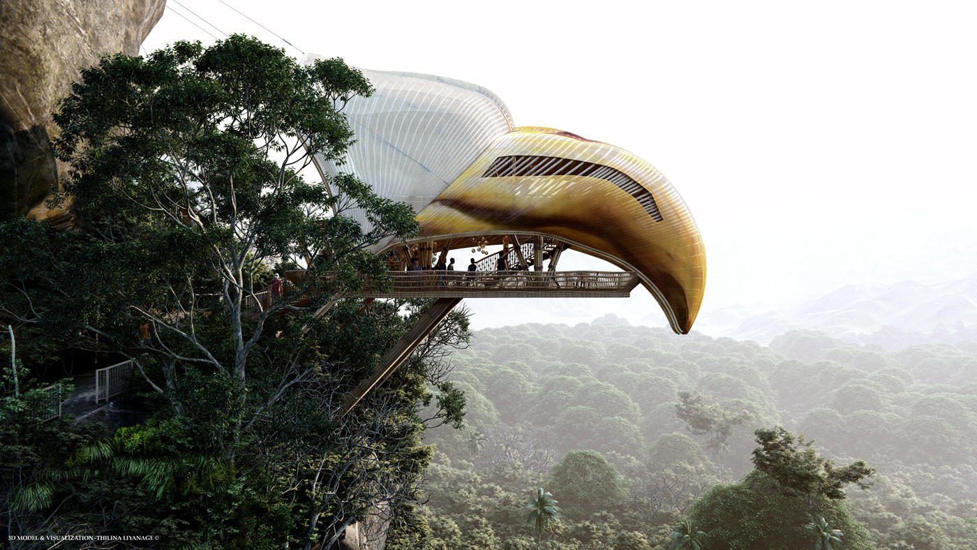 Water Bar，outdoors，Hawkbeak，