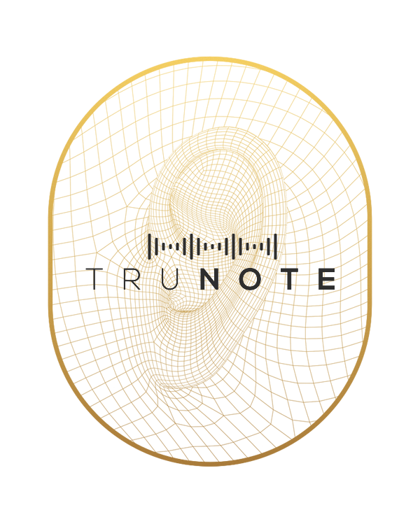 AKG N90Q，black，yellow，headset，equipment，