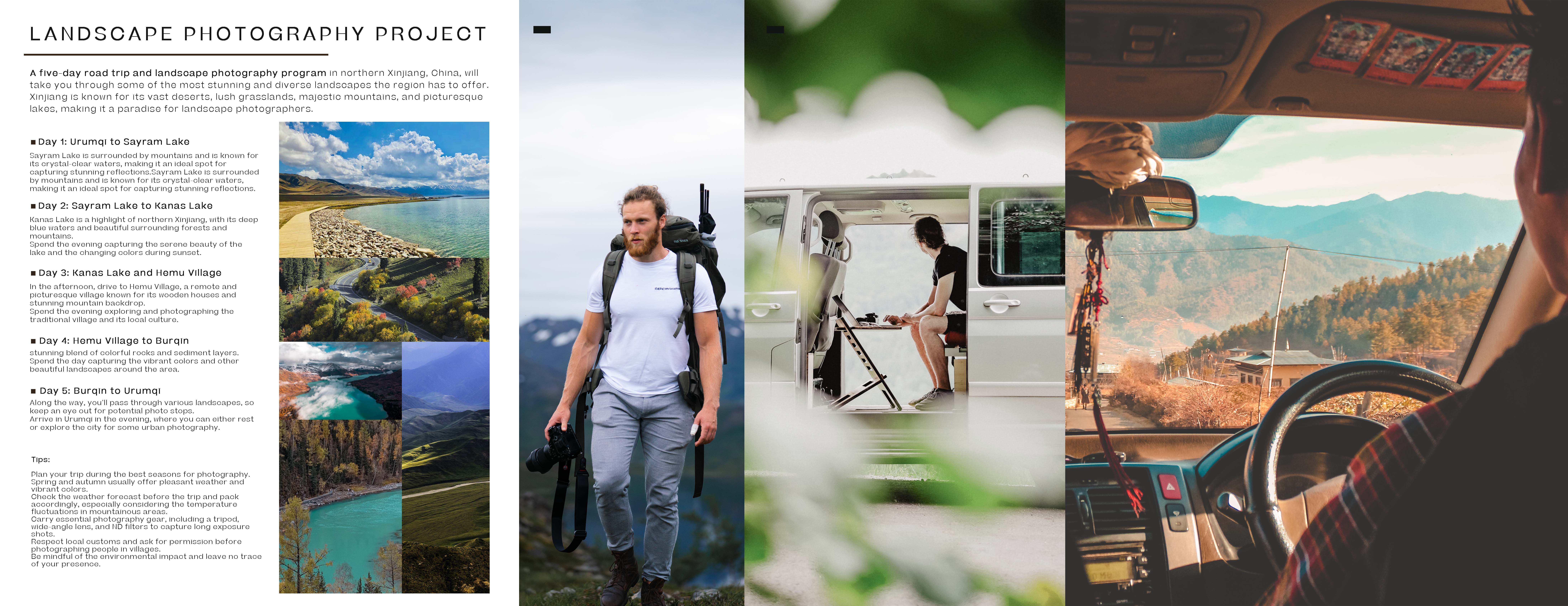 carinterior，pinewood，