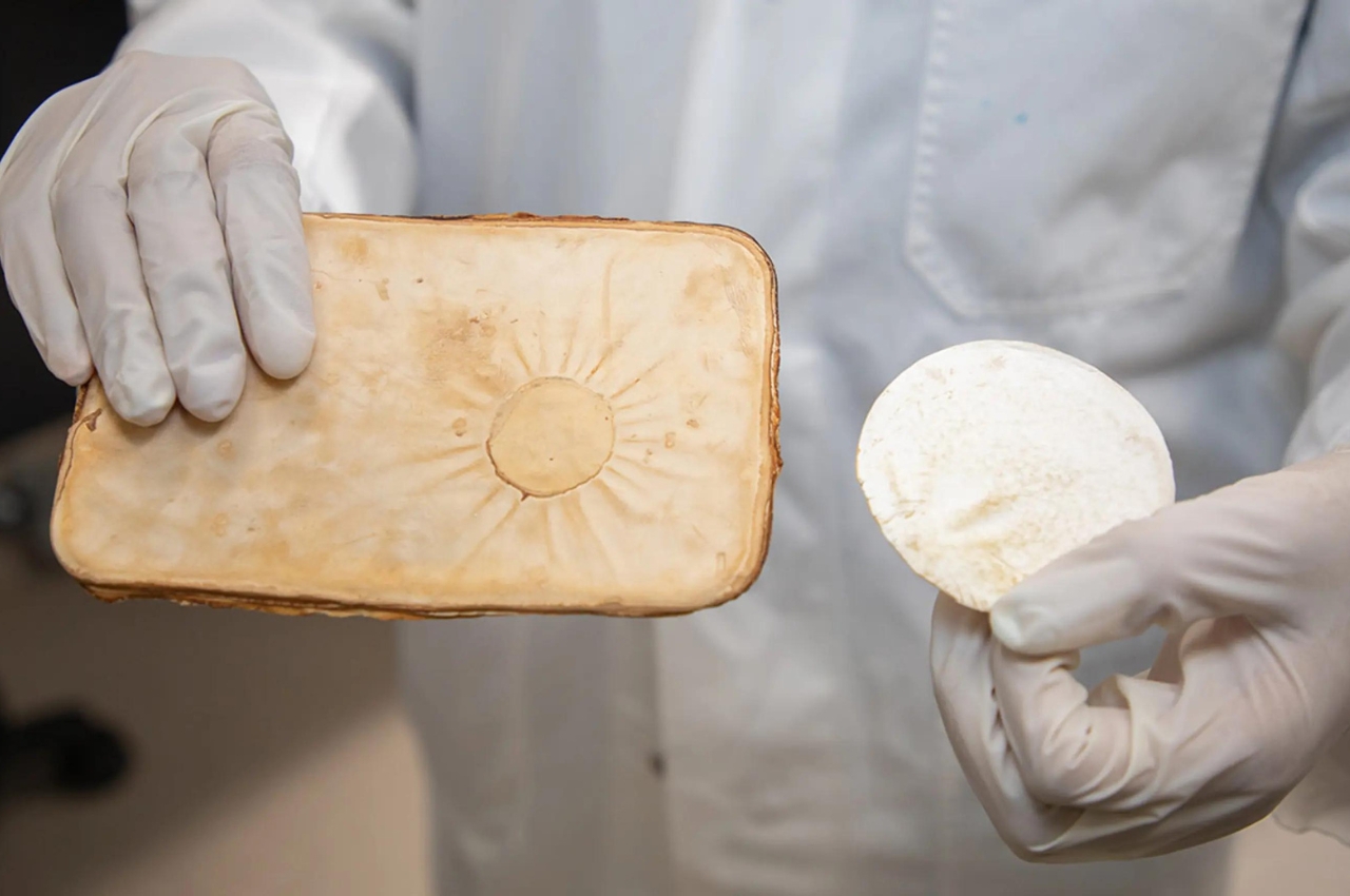 fungus，mycelium，flame retardant material，originality，