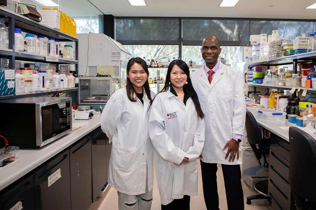 fungus，mycelium，flame retardant material，originality，