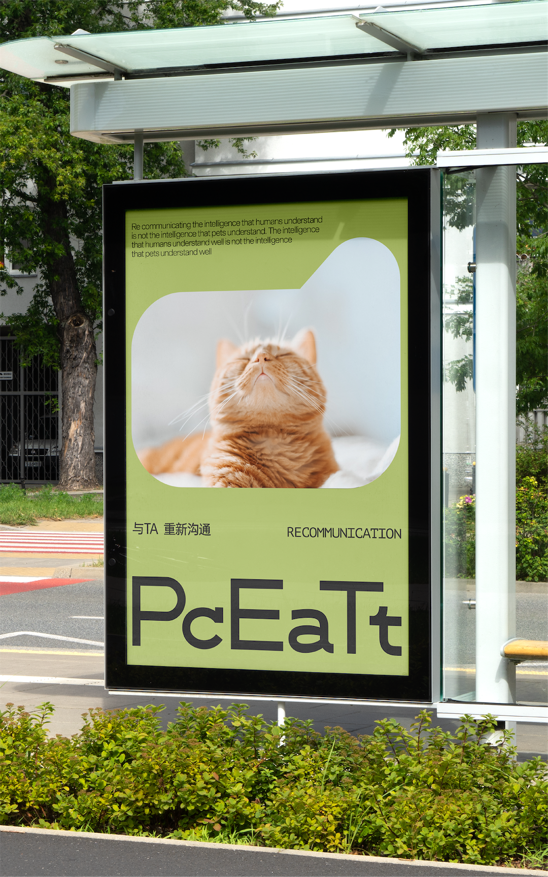 Brand design，Pets，VIS design，Visual design，Creative design，Pet Supplies & Pet，Good simple geometry，