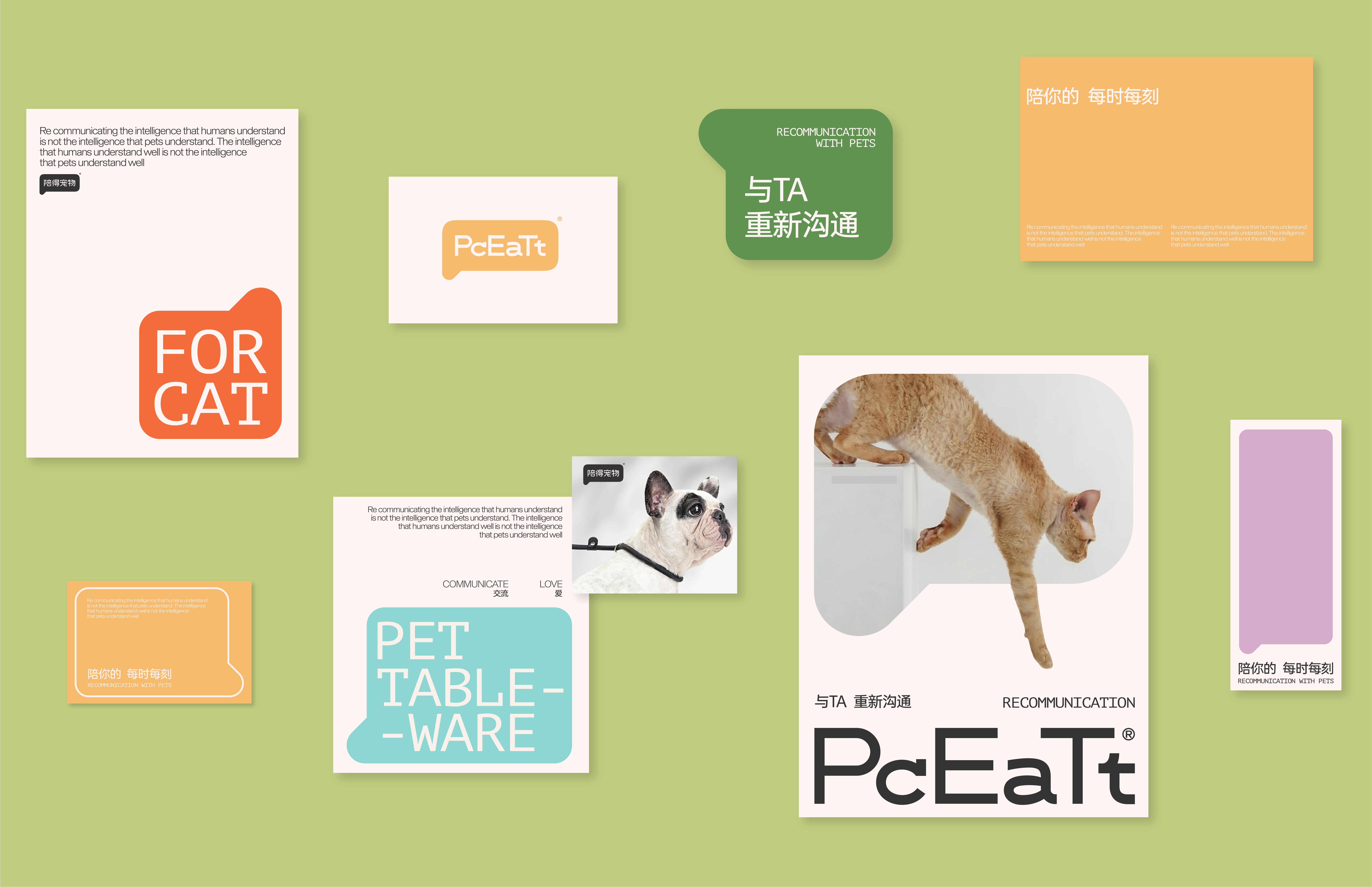 Brand design，Pets，VIS design，Visual design，Creative design，Pet Supplies & Pet，Good simple geometry，