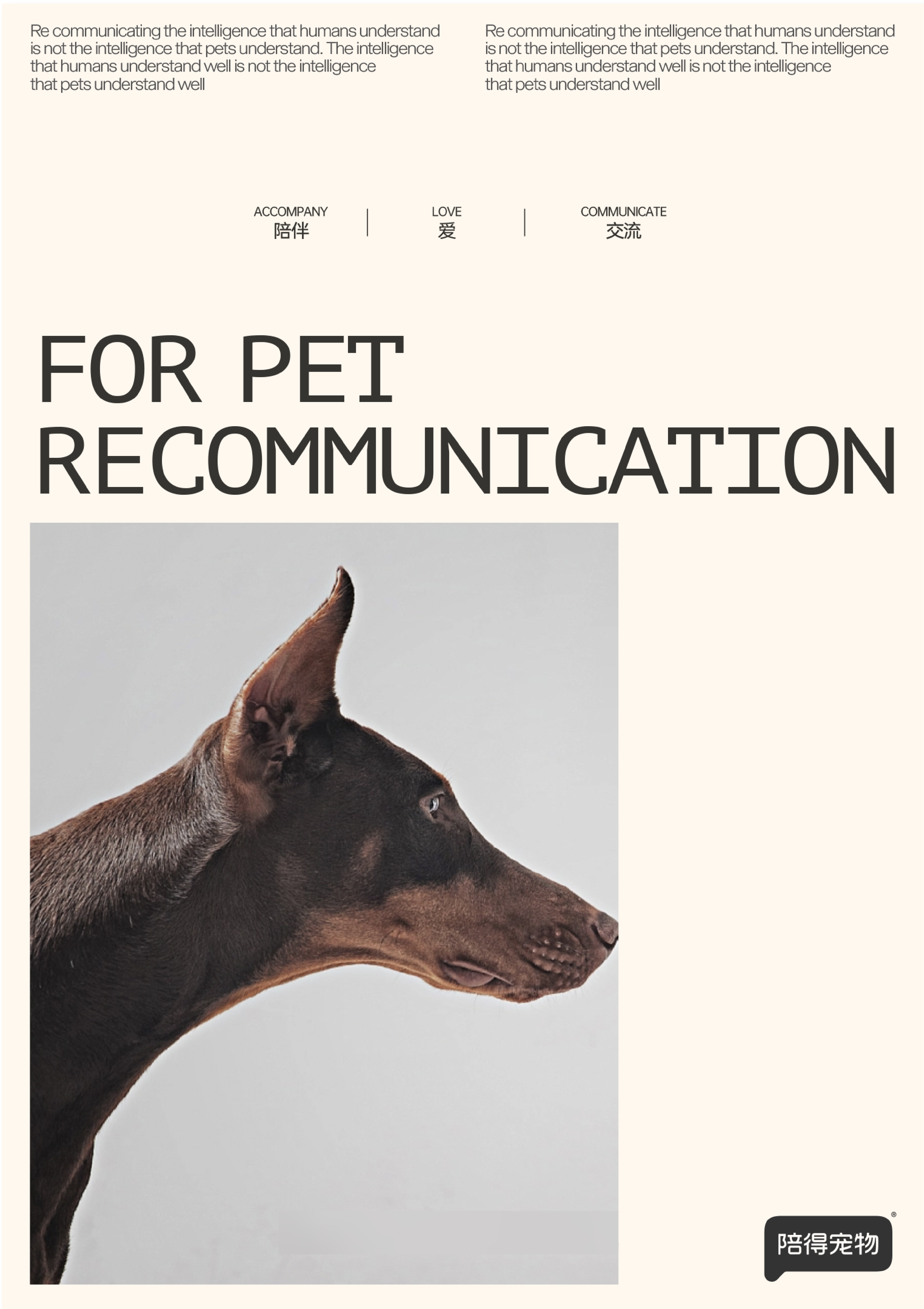 Brand design，Pets，VIS design，Visual design，Creative design，Pet Supplies & Pet，Good simple geometry，