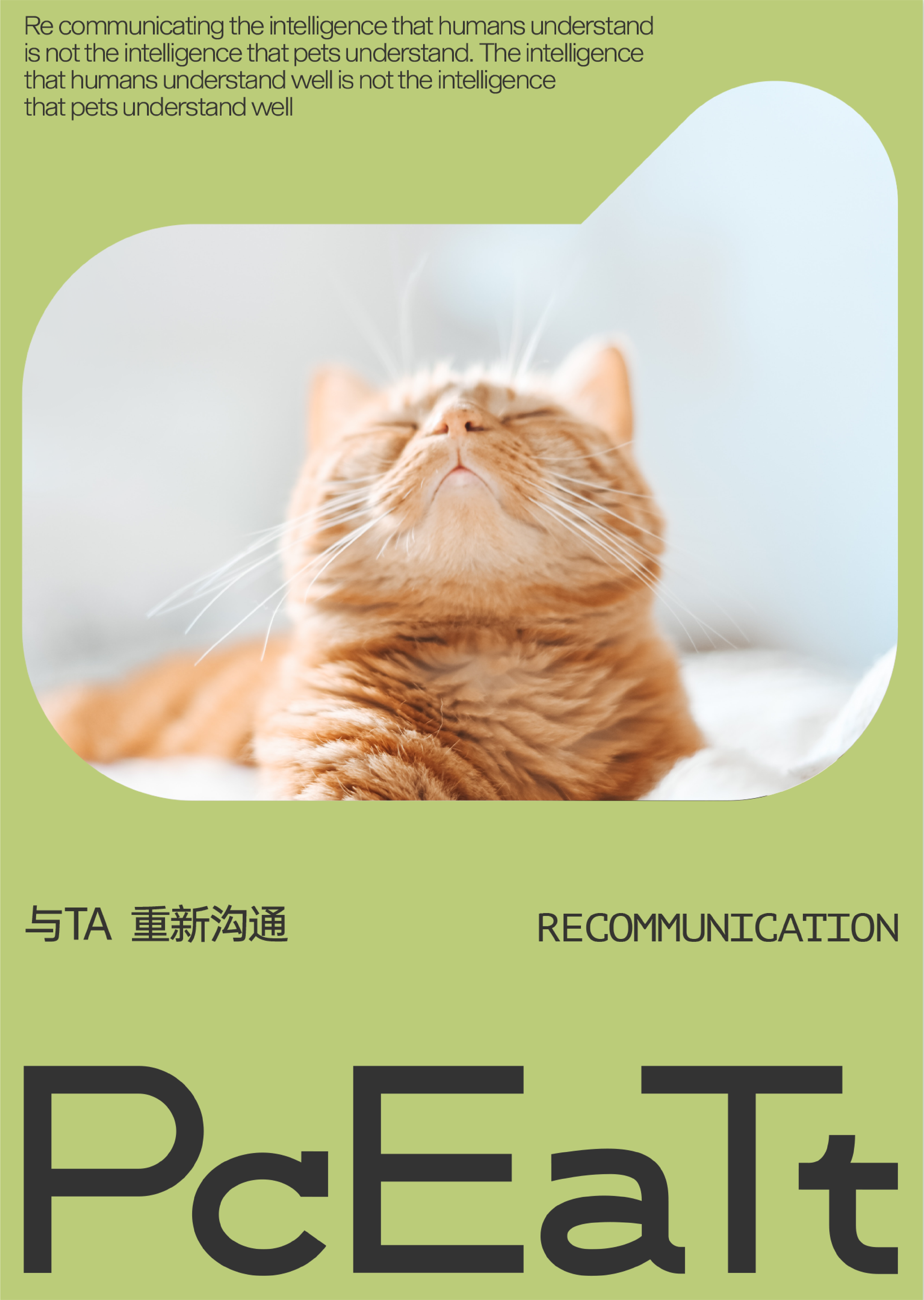 Brand design，Pets，VIS design，Visual design，Creative design，Pet Supplies & Pet，Good simple geometry，