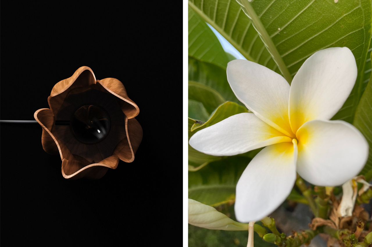 board，Atmosphere lamp，calm，comfortable，