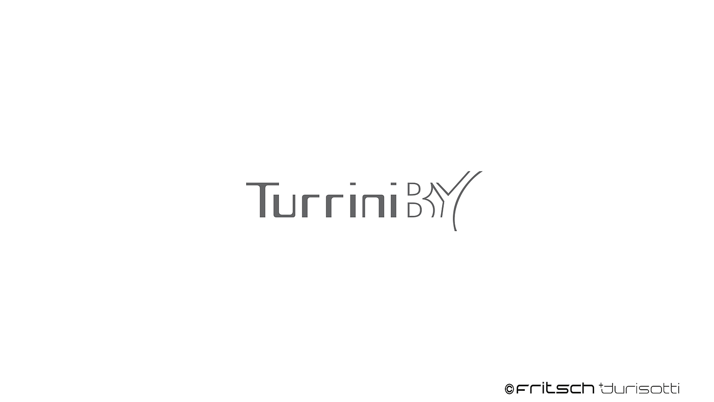 Turin，chair，bionics，streamline，woodiness，