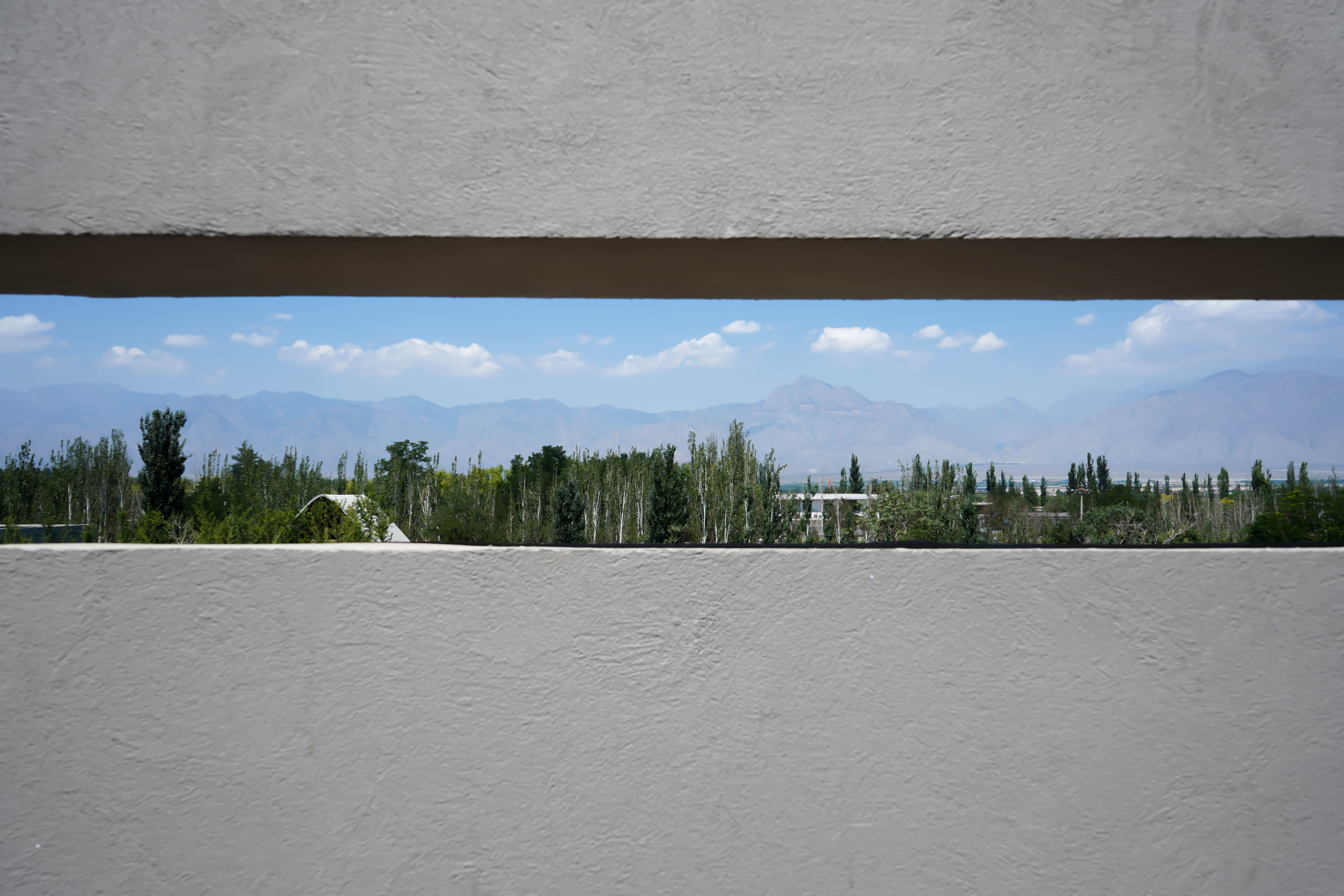 Architectural design，Industrial Manor，Chinese wolfberry，local specialty，Local culture，punch the clock，space design ，Landscape design，