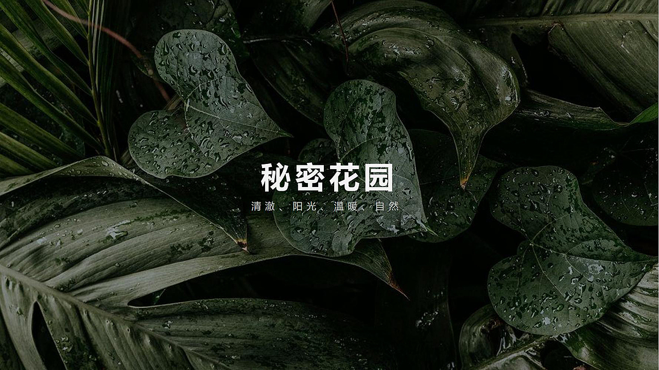 产品设计，外观设计，结构设计，工业设计，