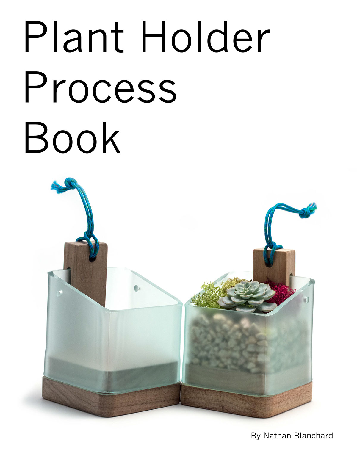 Plant rack，Fleshy，Design and production，