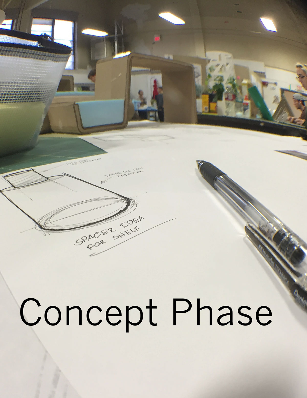 Plant rack，Fleshy，Design and production，