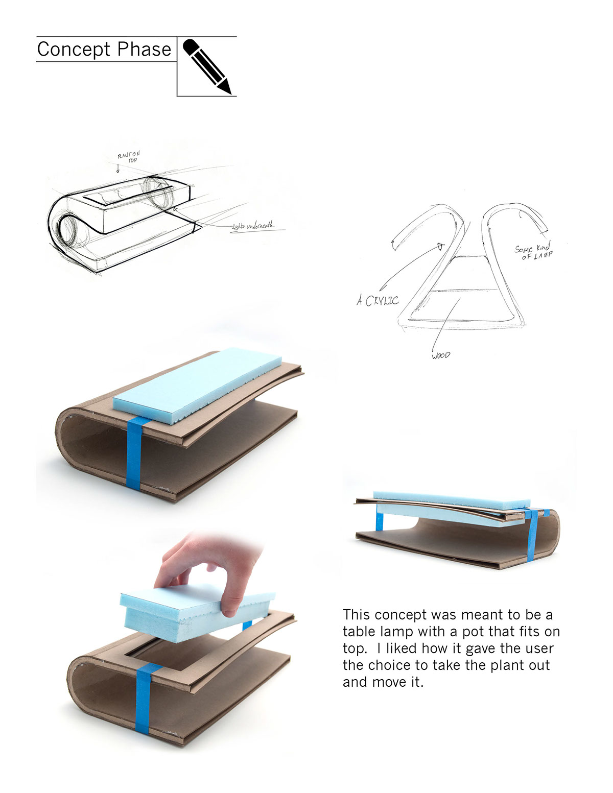 Plant rack，Fleshy，Design and production，