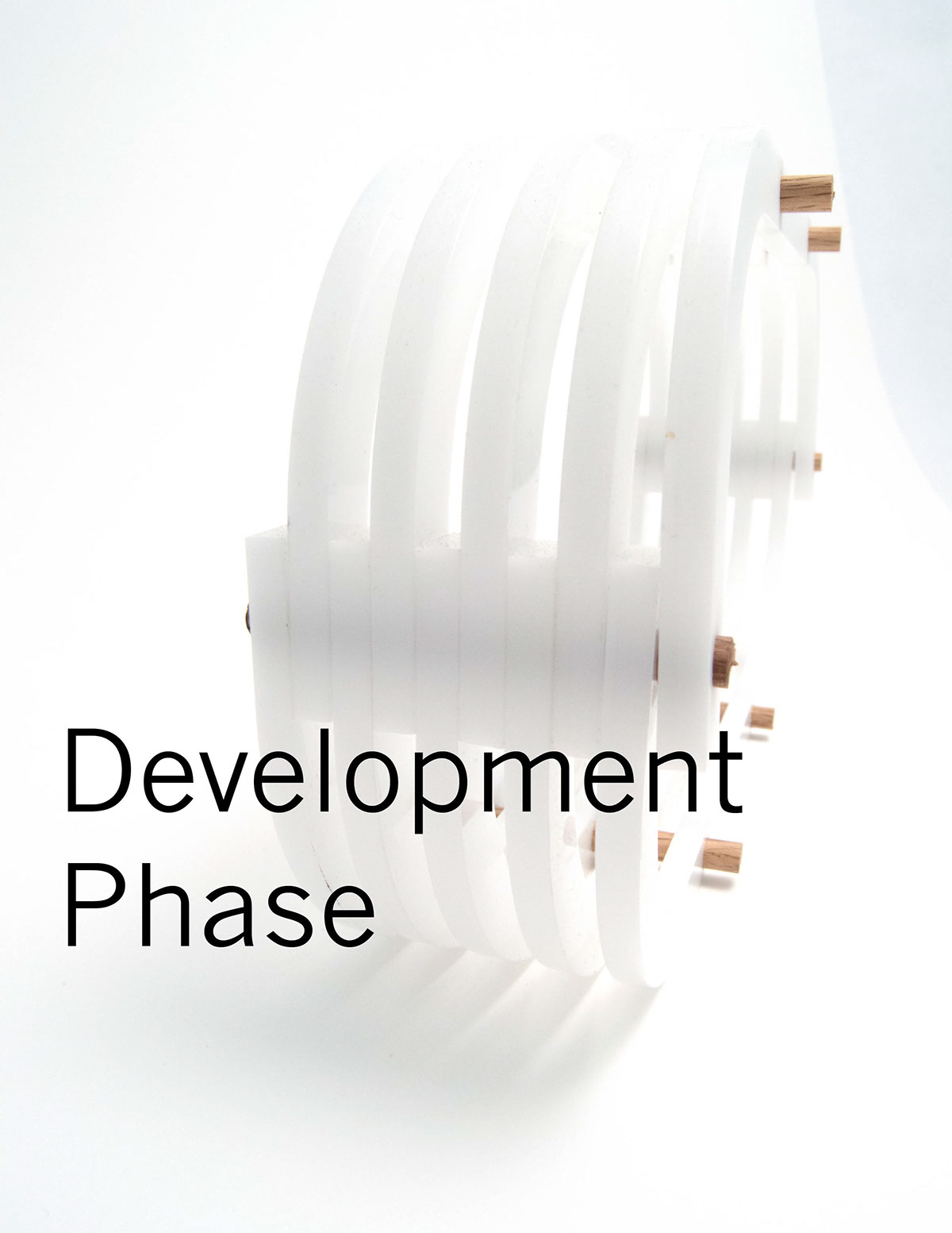 Plant rack，Fleshy，Design and production，