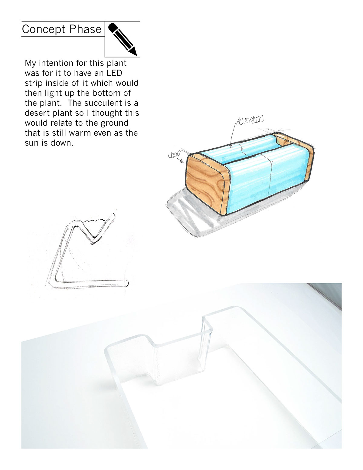Plant rack，Fleshy，Design and production，