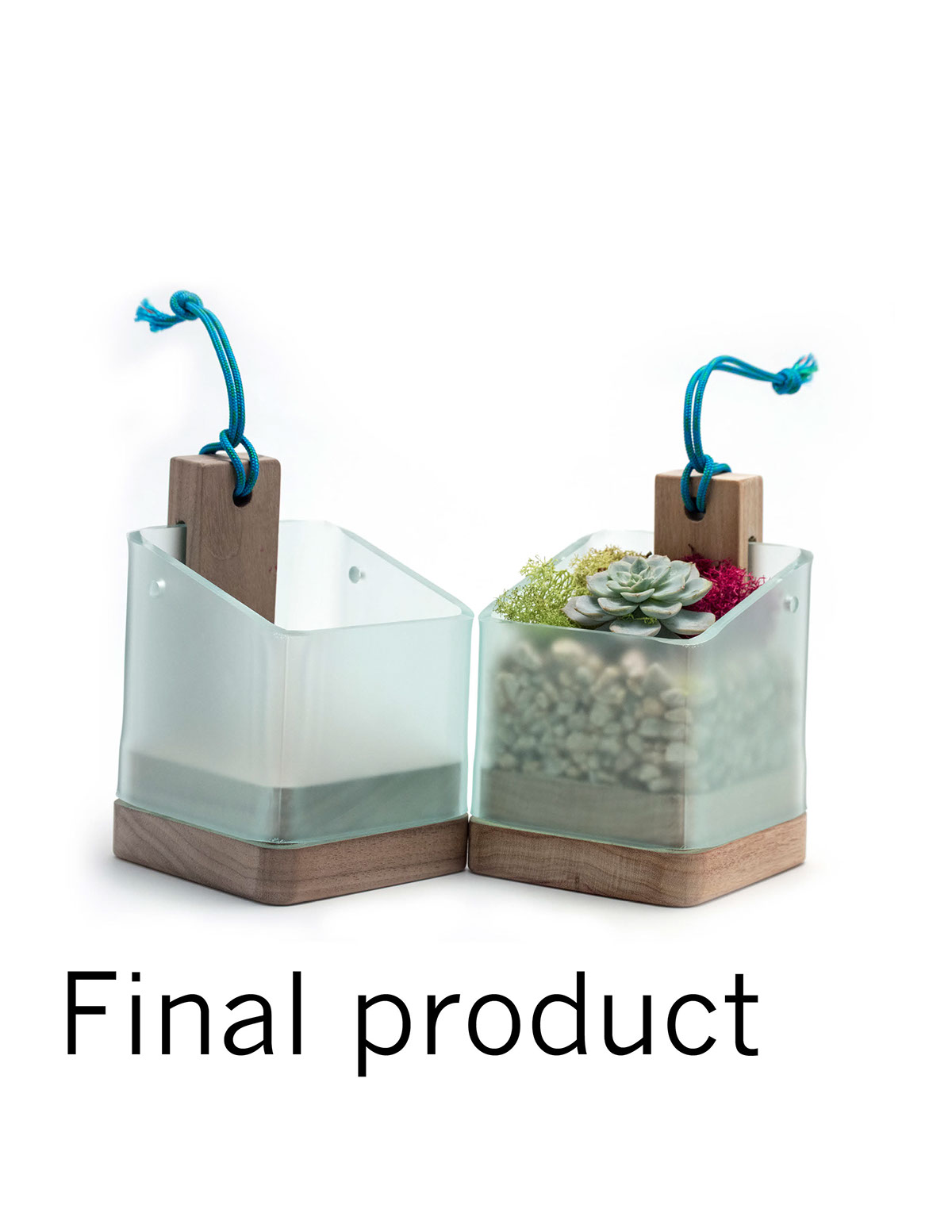 Plant rack，Fleshy，Design and production，