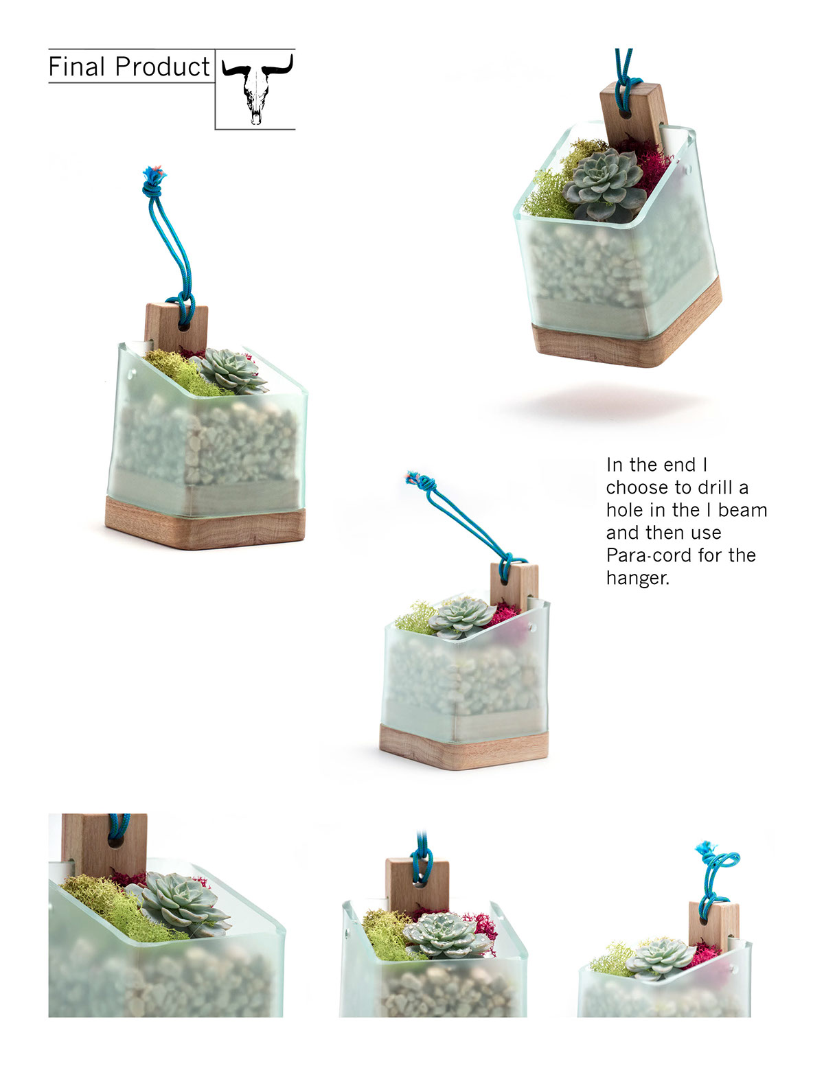 Plant rack，Fleshy，Design and production，