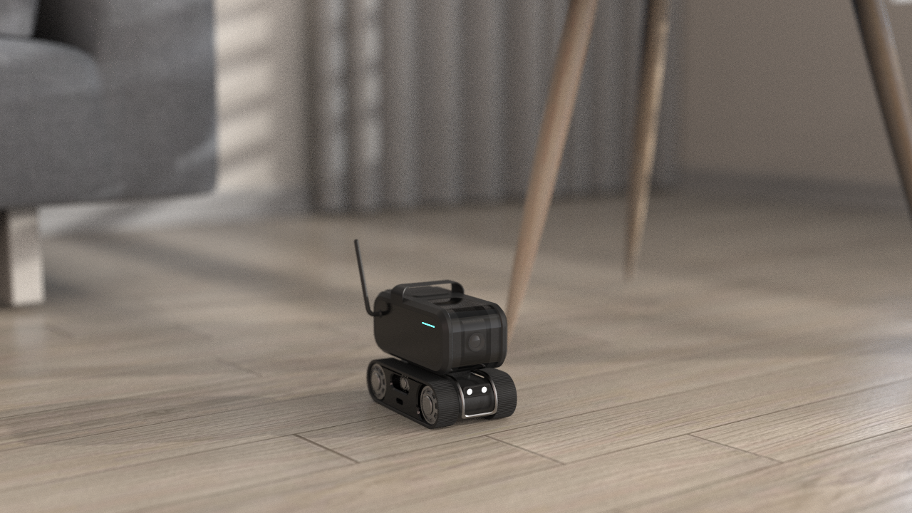 accompany，Empty nest elderly，