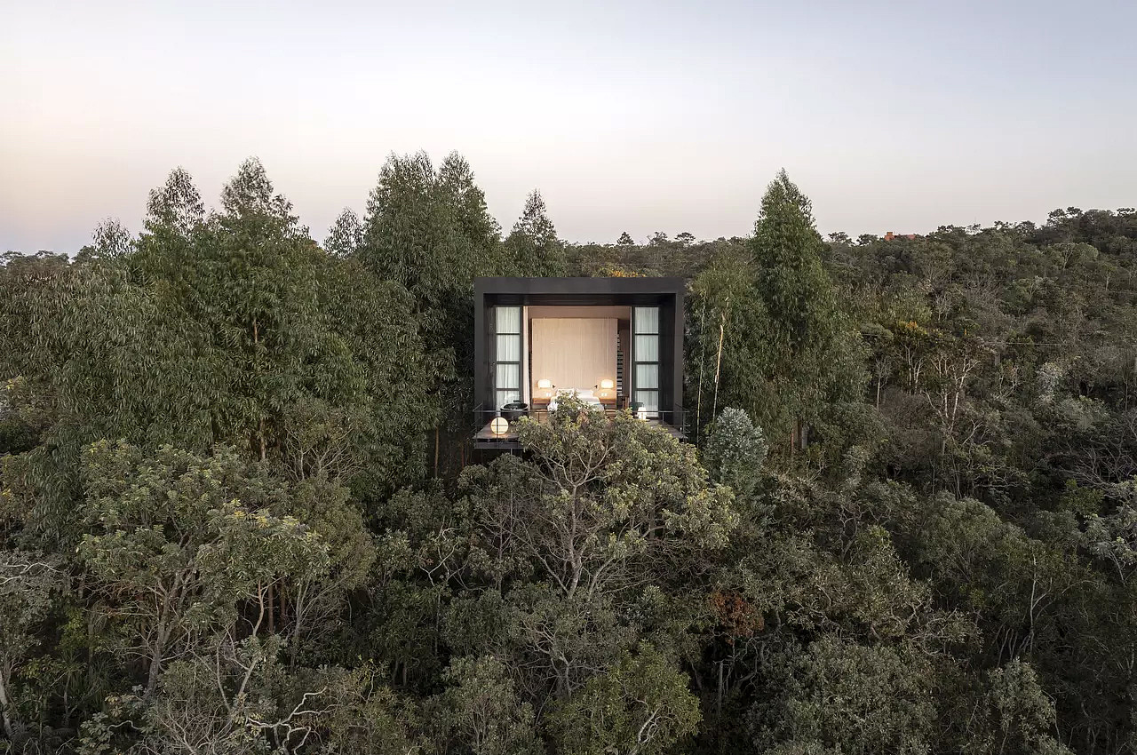 building design，Tree top life，Tree House，